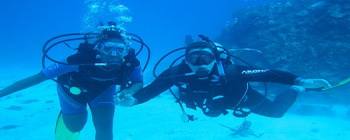 Tourists are enjoying Diving at Whale Island - TL406 